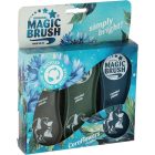 Magic Brush Cornflowers set
