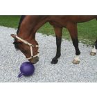 Horse play ball