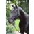 Covalliero knotted halter black/grey