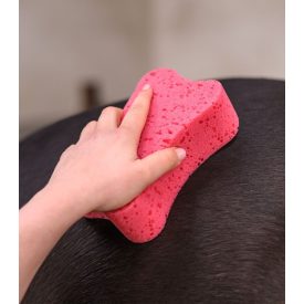 Waldhausen szivacs Waldhausen szivacs