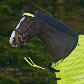 Waldhausen reflective strips for bridle