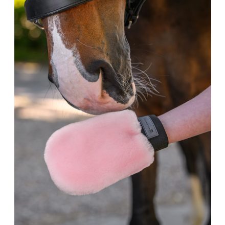 Waldhausen gyapjú ápolókesztyű