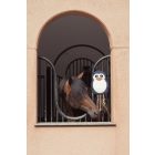 Eskadron lójáték pingvin