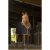 Equi-Theme cross strap fleece rug