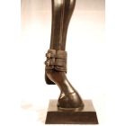 Imagine RNG leather+neoprene buckle fetlock boot