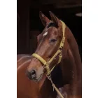 Eskadron Heritage25 Faux Leather kötőfék