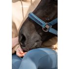 Eskadron ClassicSport Jewel kötőfék SS26