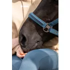 Eskadron ClassicSport Jewel kötőfék SS26