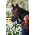 Eskadron ClassicSp. Sparkle kötőfék SS26