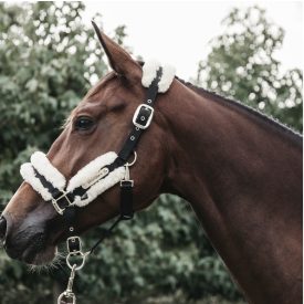 Kentucky lamb fur halter Kentucky lamb fur halter