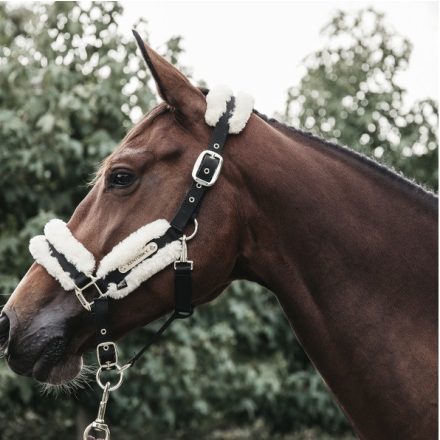 Kentucky lamb fur halter