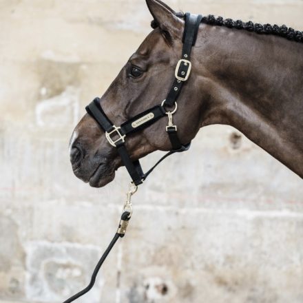 Kentucky Velvet halter