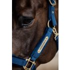 Kentucky Velvet halter