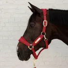 Kentucky Velvet kötőfék