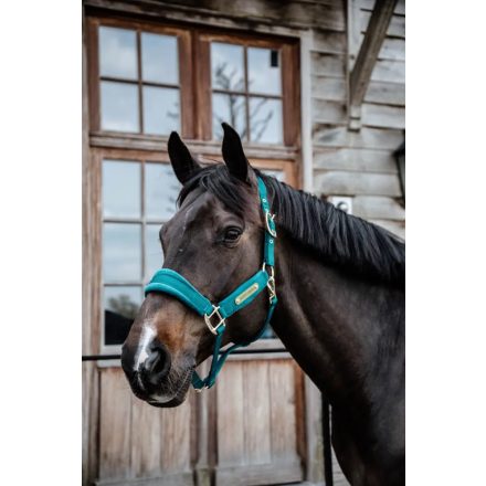 Kentucky Velvet halter