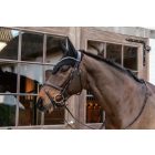 Kentucky hangtompítós fülvédő