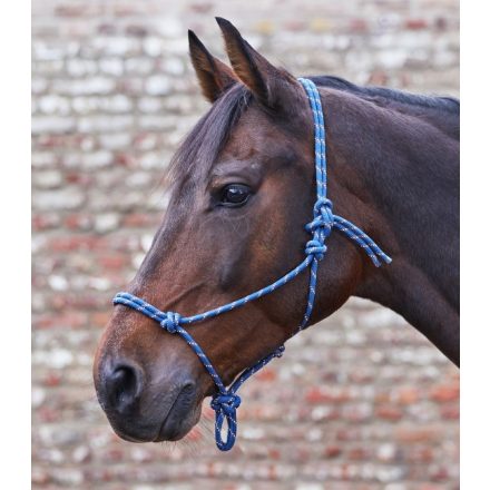 Waldhausen knotted halter