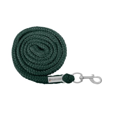 Economic Lead Rope - Carabiner