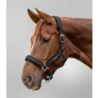 Waldhausen Soft Touch kötőfék