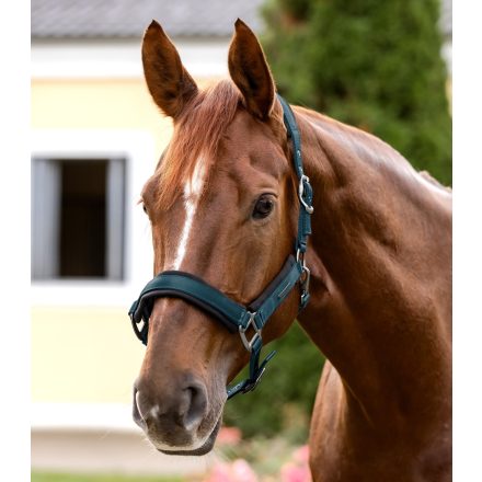 Waldhausen Soft Touch kötőfék AW25