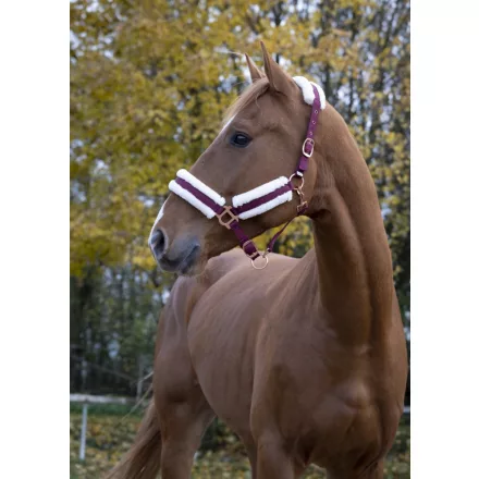 Norton Rosegold halter