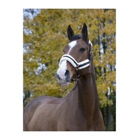 Norton Rosegold kötőfék