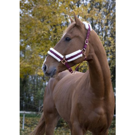 Norton Rosegold halter