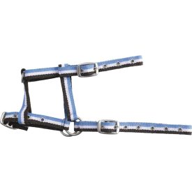 Equi-Theme csikó gurtni kötőfék