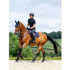 LeMieux Loire Close Contact jumping saddle pad