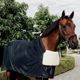 Kentucky BIB rug Kentucky BIB rug