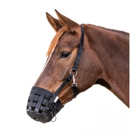 Waldhausen szájkosár