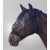 Waldhausen leather NY stretchy fly mask