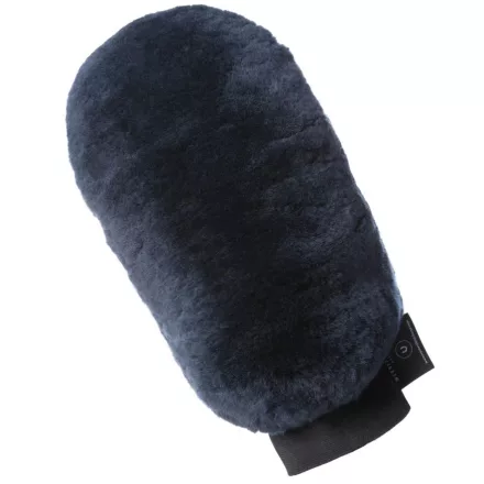 christ grooming gloves