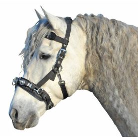 HKM kapicán gurtni HKM kapicán gurtni