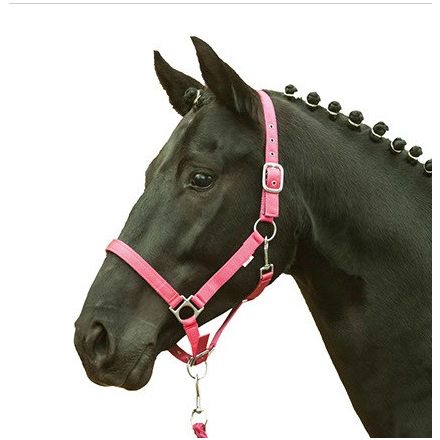 HKM Stars Soft padded halter