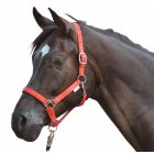 HKM Stars Soft bélelt kötőfék