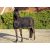 HKM fly rug