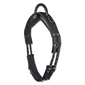 Waldhausen Shety voltizsheveder Waldhausen Shety voltizsheveder