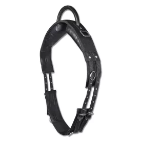 Waldhausen Shety voltige girth