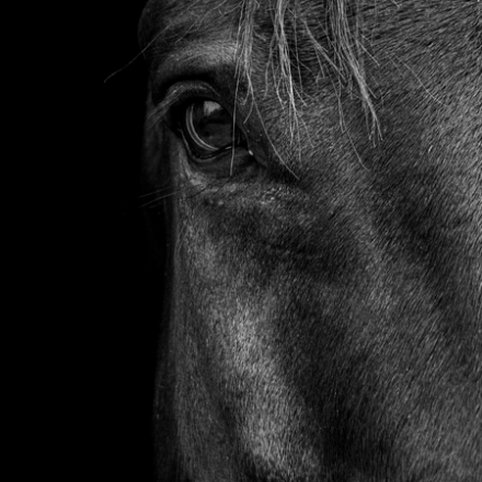 Equi-Theme Nylon/Amara lovagló kesztyű