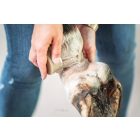 bense & eicke skinfein