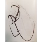 Equiline silver studded bridle