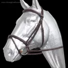 Prestige E-83 embroidered bridle