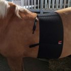 Zandona Superior side protection M 205cm.