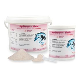 EquiPower Biotin 750g EquiPower Biotin 750g