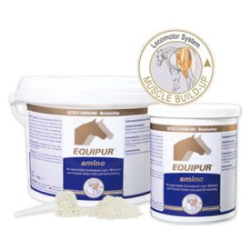 Equipur Amino por 1kg Equipur Amino por 1kg
