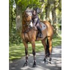 LeMieux Loire ear protectors