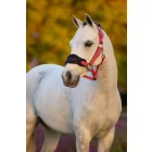 Lemieux Vogue kötőfék Cranberry/Navy