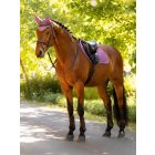 Lemieux Suede Close Contact jumping saddle pad