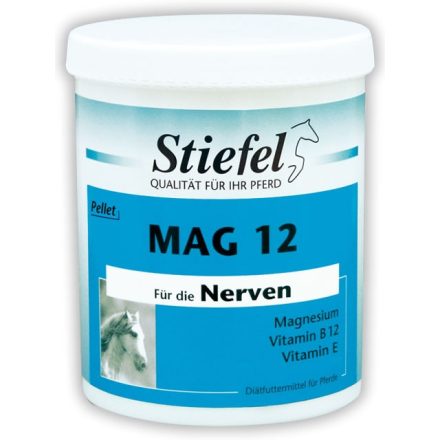 Stiefel M 12 magnézium por 1Kg.